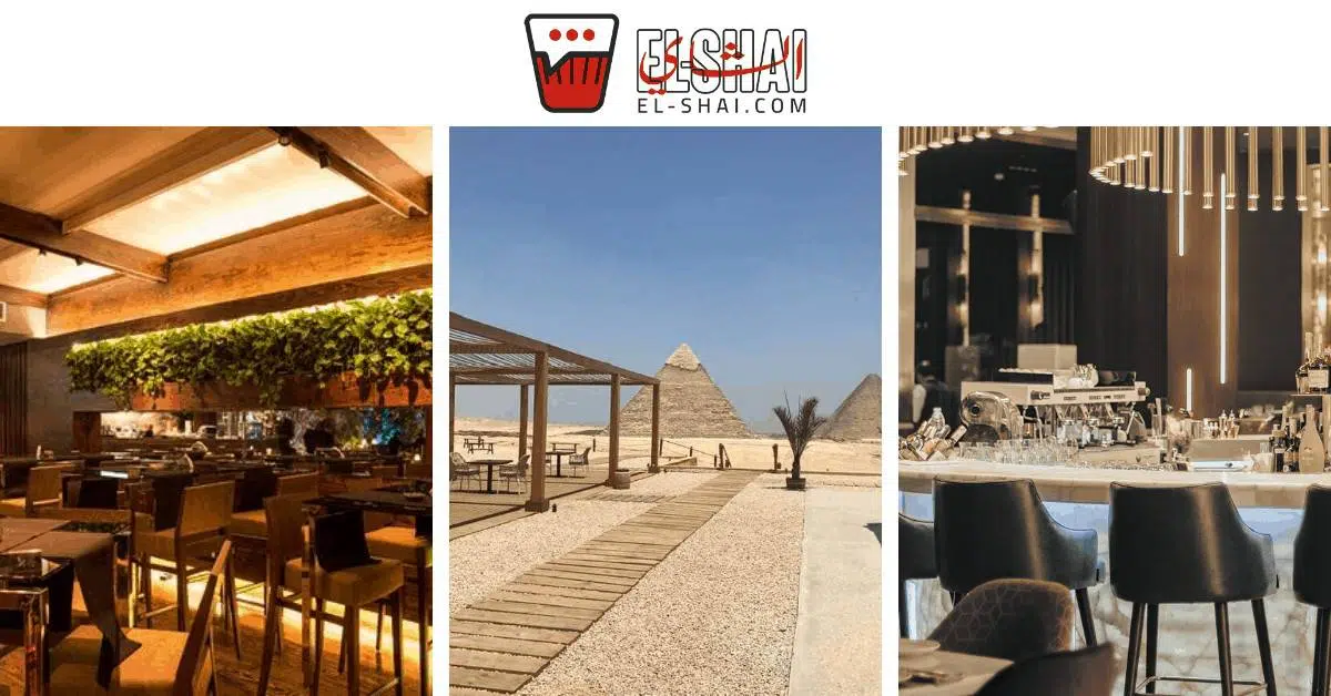 Where to go on Valentine's Day? Your Ultimate Guide for The Best Cairo Date!