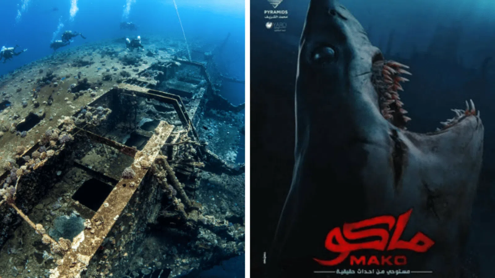 7 Things you Should Know About Salem Express; The Real Tragic Story Behind Mako