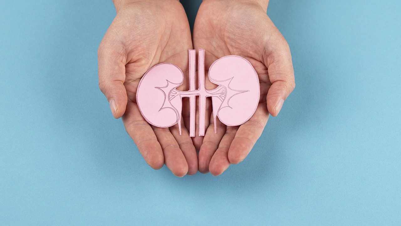Let's Talk About the Rise of Organ Donation in Egypt, and How You Can Donate Let's Talk About the Rise of Organ Donation in Egypt, and How You Can Donate