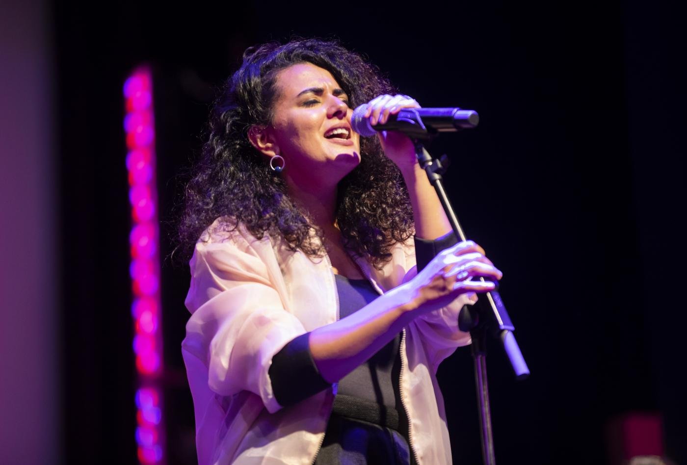 A Look into Dina El Wedidi's Upcoming Album "Five Seasons": A Musical Journey Through Human Emotions A Look into Dina El Wedidi's Upcoming Album "Five Seasons": A Musical Journey Through Human Emotions