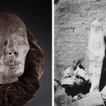 Egyptian Mummy Head Kept in a Cupboard for a Century for Sale in UK