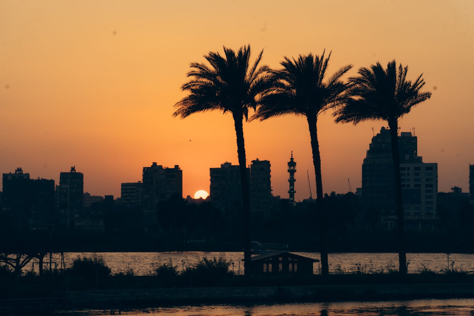 Phlog Teams Up with Sony MEA to Empower 45 Photographers for Talent Exhibition on World Photography Day