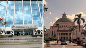 Art D'Égypte: On a Mission to Raise Awareness on Egyptian cultural heritage with Public School Children
