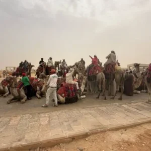 Chaos at the Pyramids Everything You Need to Know About the New System’s Troubled Opening