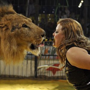 The Bloody El-Helw Circus Legacy: A History of Animal Abuse and Negligence el helw