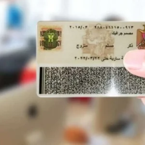 How to Get or Renew Your Egyptian National ID in Just 10 Minutes national ID