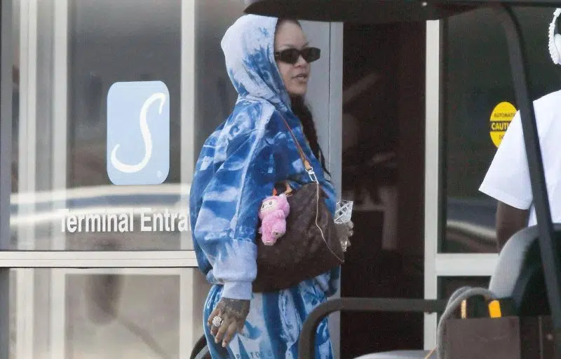 rihanna labubu