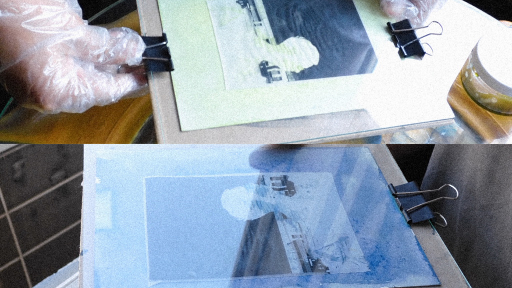 The No Bummer Summer Hobbies #1 Cyanotype (2)