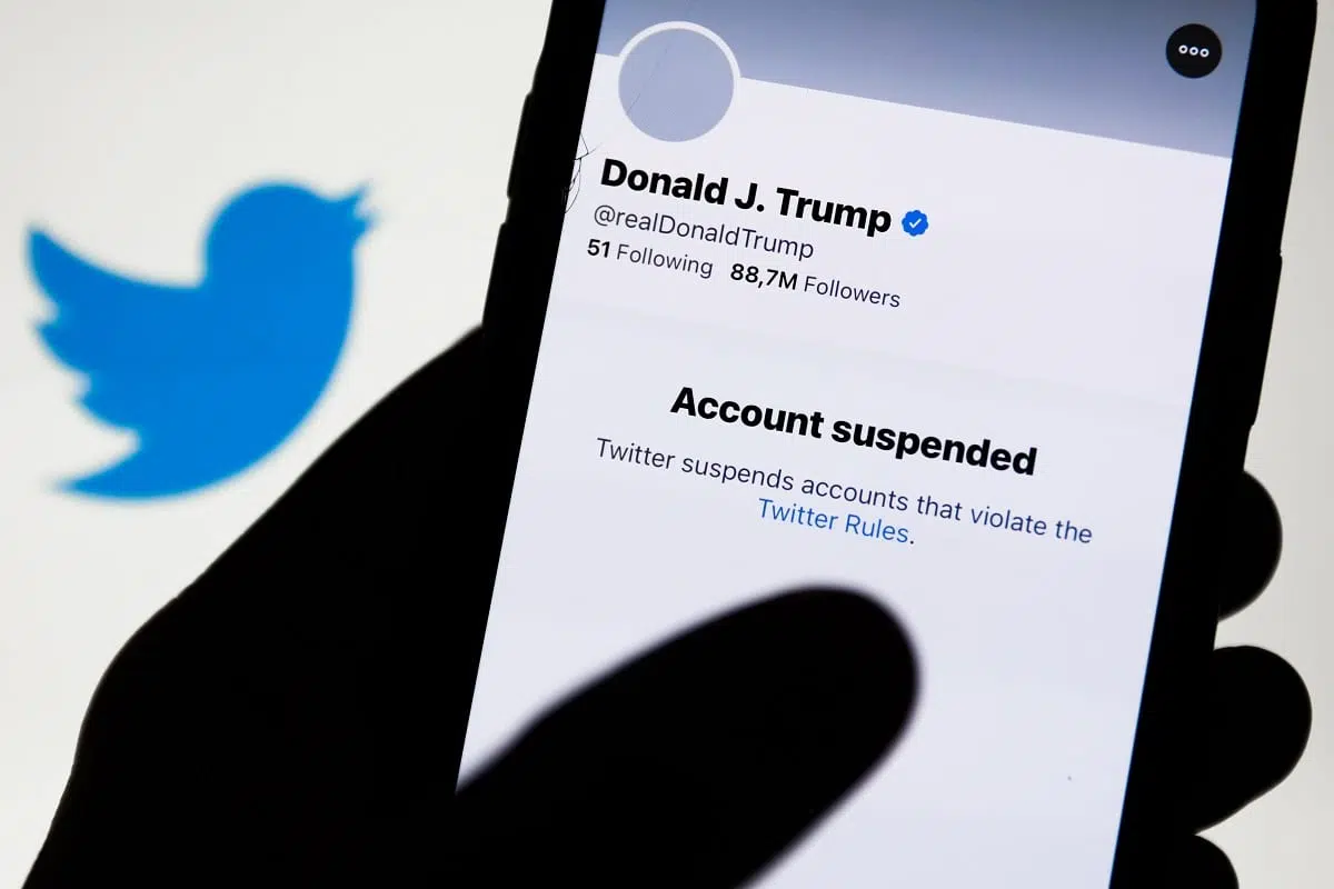 Fell Victim to Twitter's Mass Suspension? Here's why it happened! Fell Victim to Twitter's Mass Suspension? Here's why it happened!